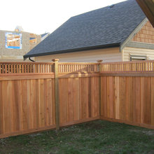 Backyard Fixes