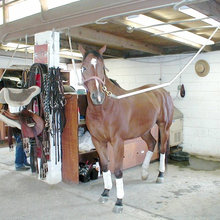 Stable etc