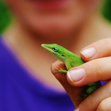 Landscape Design Miami- Deb's Certified Wildlife Habitat