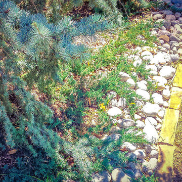 Landscape & Design