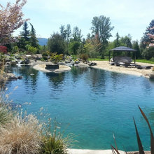 POND