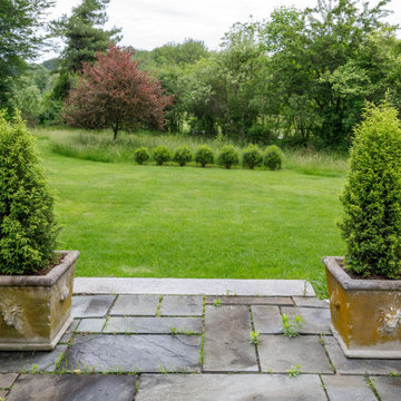 Mature Garden