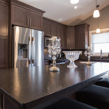 1543 sq/ft Modified Bi-level, 3 bedrooms, 2 ½ baths