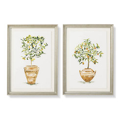 Sicilian Citrus Gicl&eacute;e Prints - Artwork
