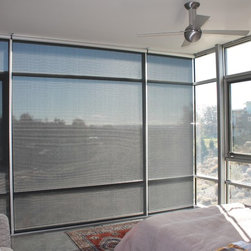 Modern Home With Insolroll Silver Screen Motorized Shades - Products