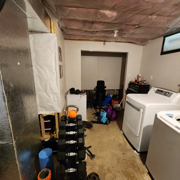 Basement Finish with bathroom