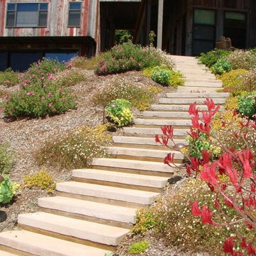 Hillside Plantings