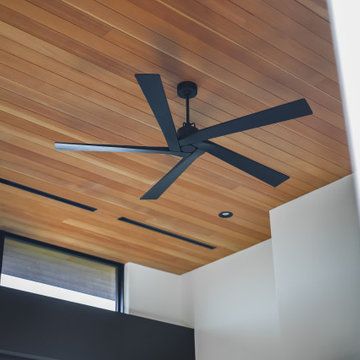 Lago Vista Modern