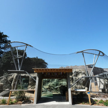 Snow Leopard Habitat