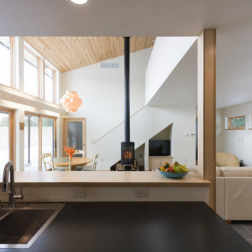 Sensible House 01