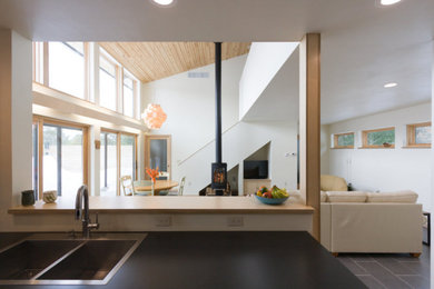 Inspiration for a modern home design remodel in Other