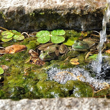 trough + runnel with 100% reclaimed materials + green technology