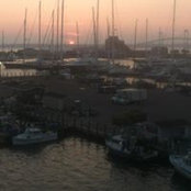 Michael Kagan's photo