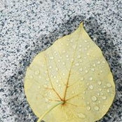 Foto von Ying Luen Law
