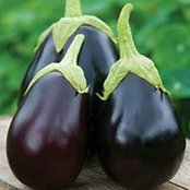 Louie Grimace's photo