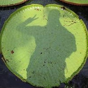 Tomas Smolinsky's photo