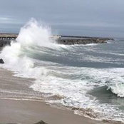 Gwen Gand's photo