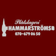 Hammarströms Plåtslageris profilbild