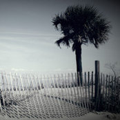 Tyler Moser's photo