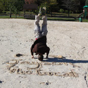 Foto von Jayson Goldberg