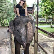 Lauren Guerra's photo