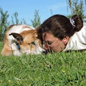 Sil Zeitune's photo