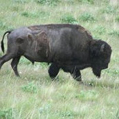 Phil White's photo