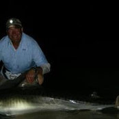Mike Veitch's photo