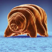 Dustin Berra's photo