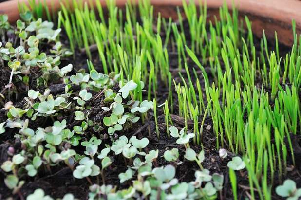 Farm-To-Table: Bring The Outdoors In With These Design Ideas