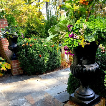 Fall Container Garden Design