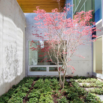 Watson Residence
