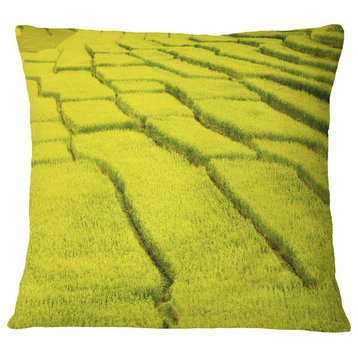 Rice Field View Landscape Photography Throw Pillow, 16"x16"
