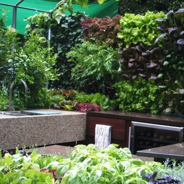 Contemporary Designs