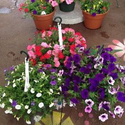 Nursery - Gardening And Lawn Care