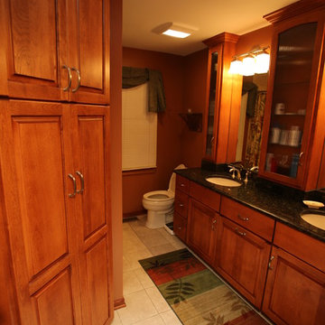 Traditional Full Home Remodel in Naperville, IL