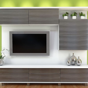 Not Your Parents' Entertainment Center...