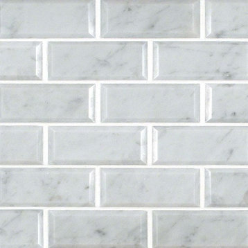 Polished Arabescato Carrara Marble Tile, Chip Size: 2"x4", Set of 50