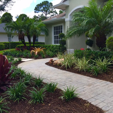 Front yard tropical curb appeal