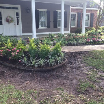 Southern Louisiana Tropical Garden