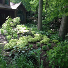 Shade garden