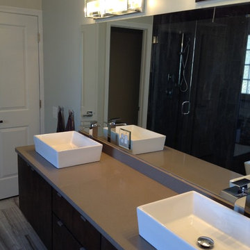 Master Bath remodel