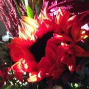 Sue Beckwith's photo