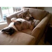 Melanie Quick's photo