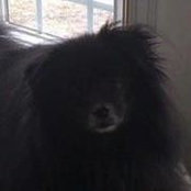 Teresa Peterson-Determan's photo