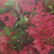 Pat Avila's photo