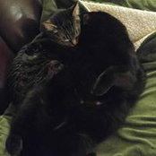 Karla Stockwell's photo