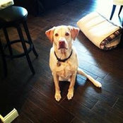 Tracy Ashworth's photo