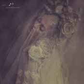 Lisa Winkelmann's photo