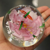 Genesis Baqueさんの写真